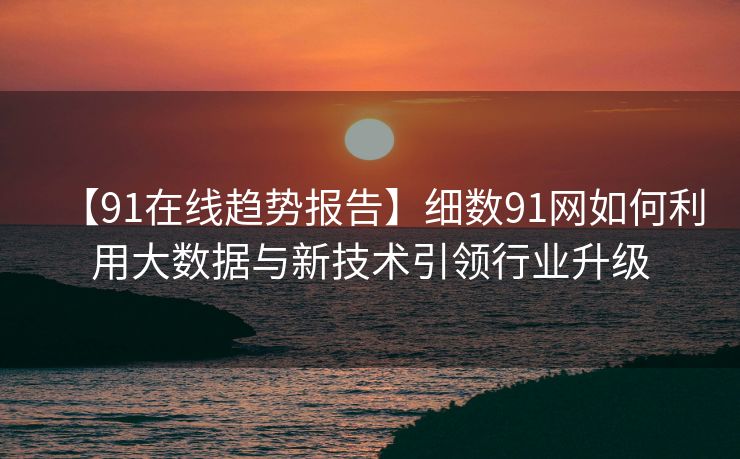 【91在线趋势报告】细数91网如何利用大数据与新技术引领行业升级 【91在线趋势报告】细数91网如何利用大数据与新技术引领行业升级