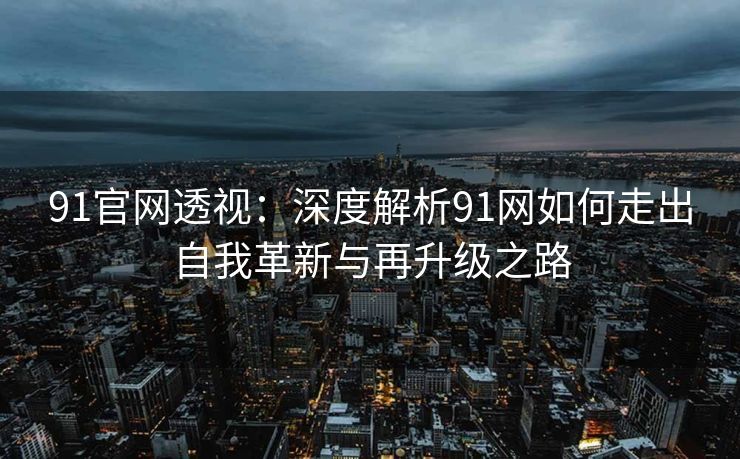 91官网透视：深度解析91网如何走出自我革新与再升级之路