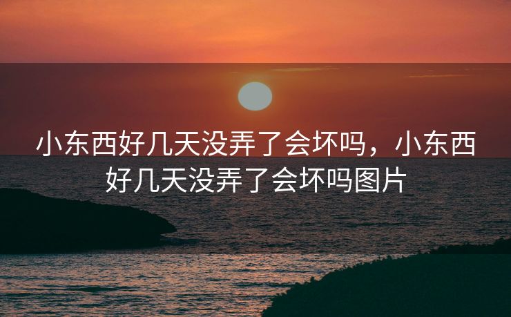 小东西好几天没弄了会坏吗，小东西好几天没弄了会坏吗图片