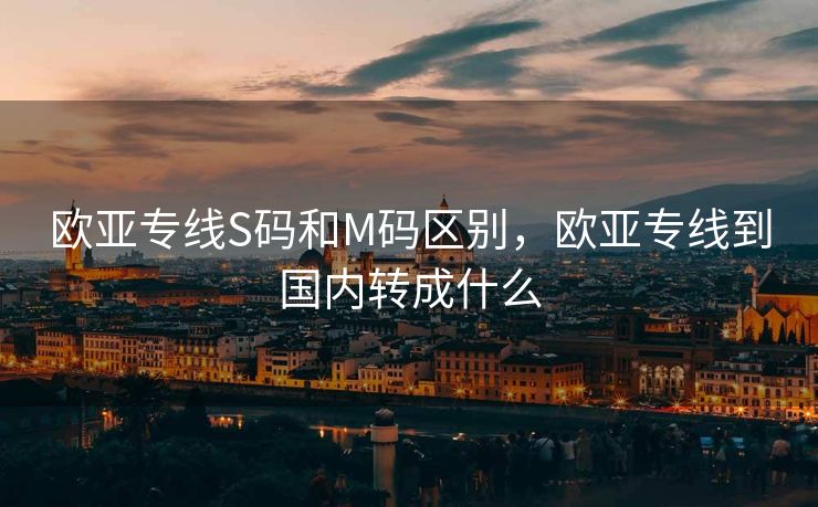 欧亚专线S码和M码区别，欧亚专线到国内转成什么