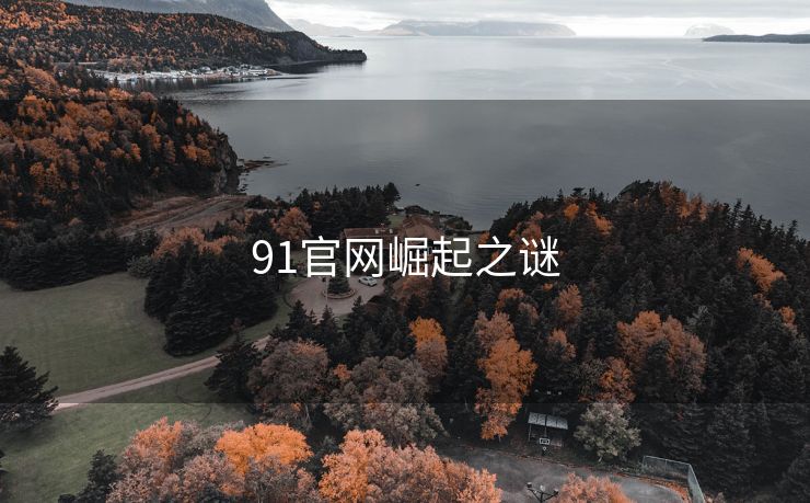 91官网崛起之谜