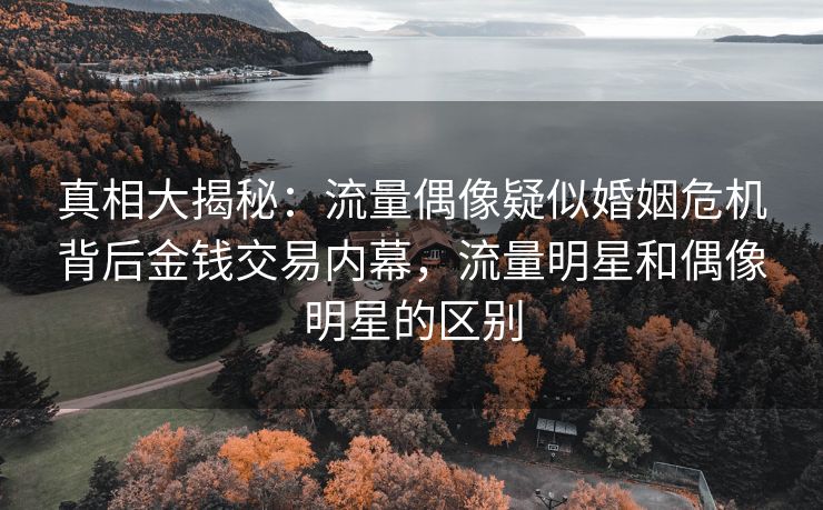 真相大揭秘：流量偶像疑似婚姻危机背后金钱交易内幕，流量明星和偶像明星的区别